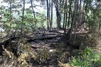 05/31/2010 Brush Fire #078
